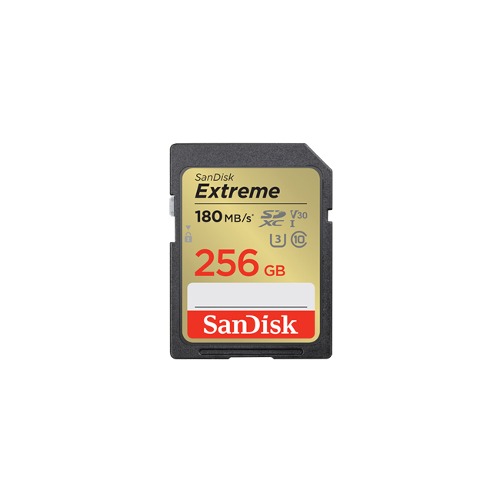 Sandisk SD 256GB